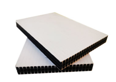 平板の構造のプラスチック構造の型枠のコンクリートの壁12mm 15mm 18mm